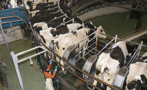 ¿Se están estimando correctamente todos los daños en las pericias de Derecho de la Competencia?