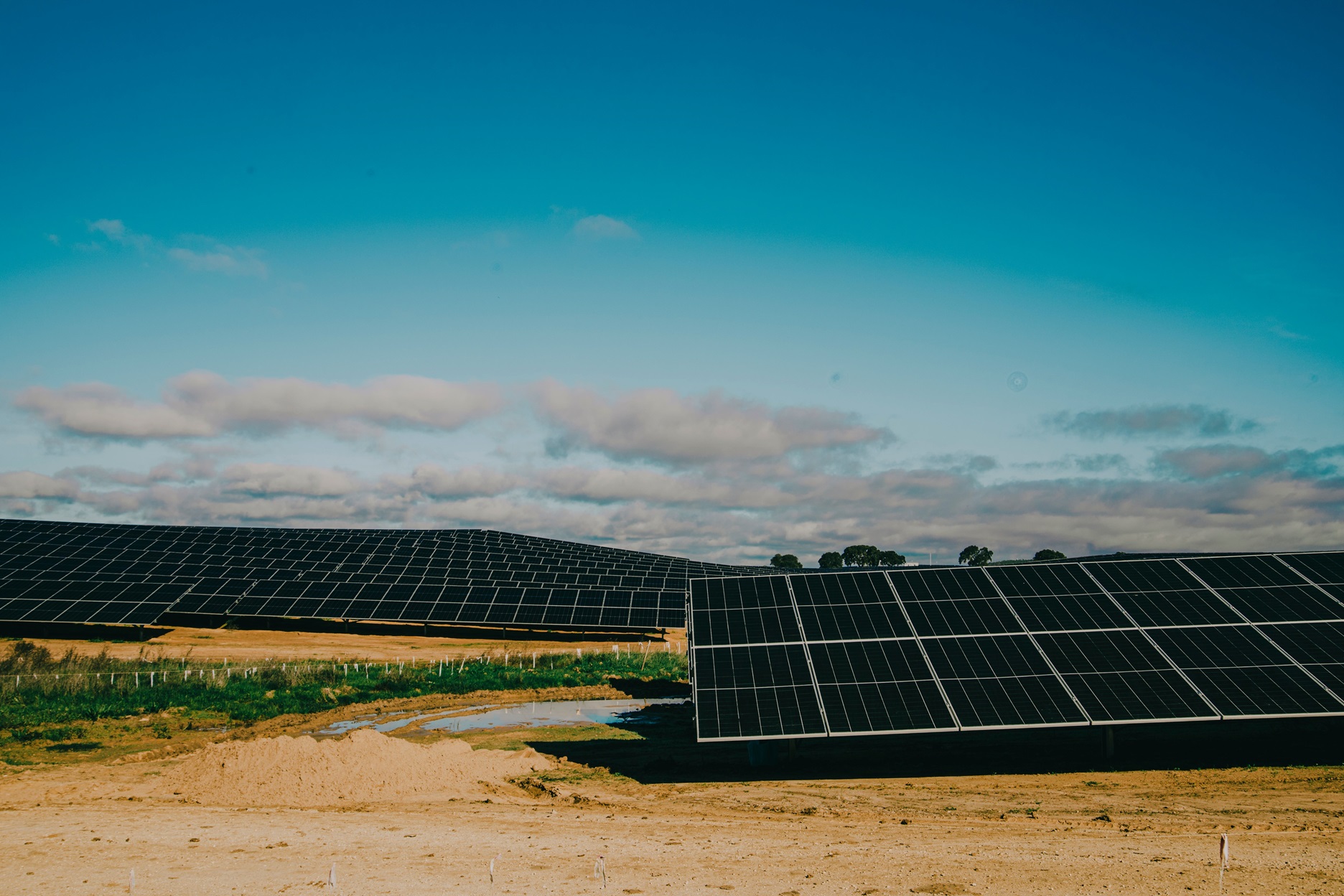 Mantenimiento de Plantas Fotovoltaicas: Contrato O&M, Incumplimientos y Daños