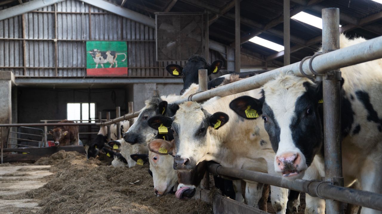 Cártel de la Leche: el Supremo confirma las indemnizaciones y pone el foco en los informes periciales